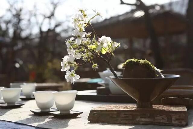 闽南的饮茶习俗（闽南饮茶自古成风下一句）